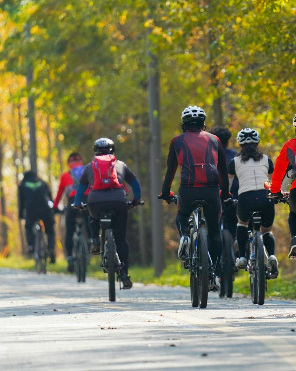 bike ride